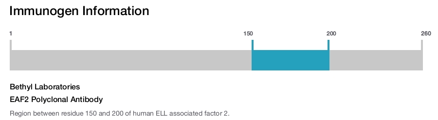 EAF2 Polyclonal Antibody