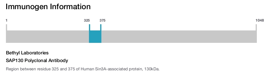 SAP130 Polyclonal Antibody