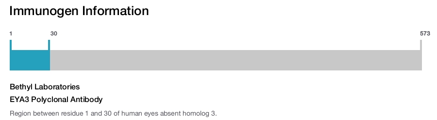 EYA3 Polyclonal Antibody