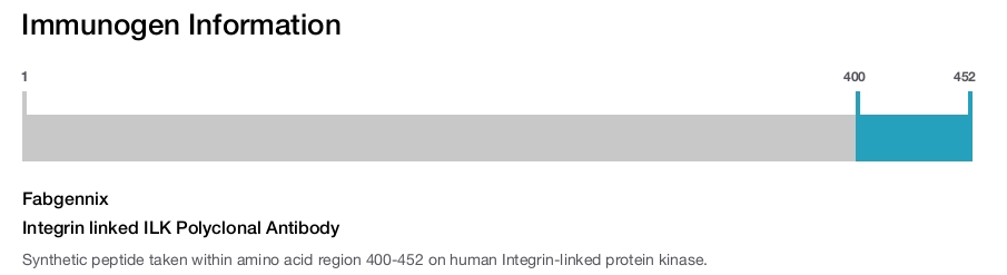 Integrin linked ILK Polyclonal Antibody