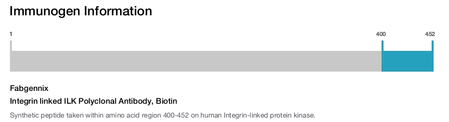 Integrin linked ILK Polyclonal Antibody, Biotin