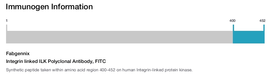 Integrin linked ILK Polyclonal Antibody, FITC