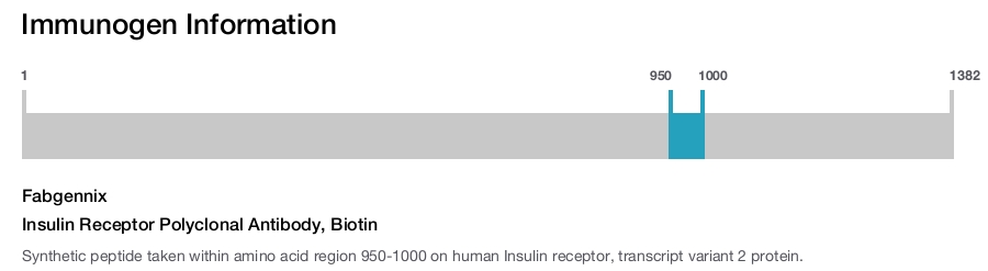 Insulin Receptor Polyclonal Antibody, Biotin
