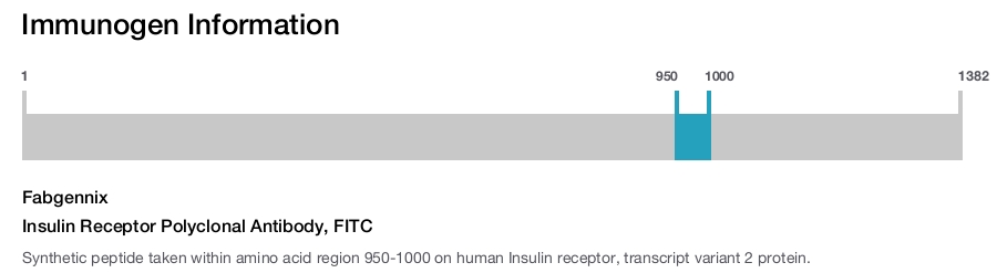 Insulin Receptor Polyclonal Antibody, FITC
