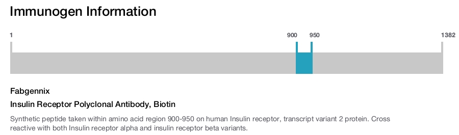 Insulin Receptor Polyclonal Antibody, Biotin