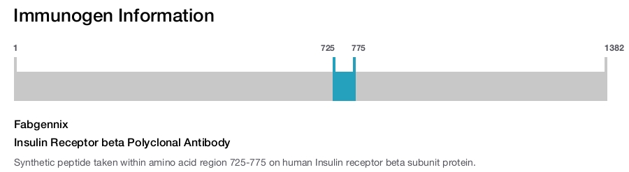 Insulin Receptor beta Polyclonal Antibody