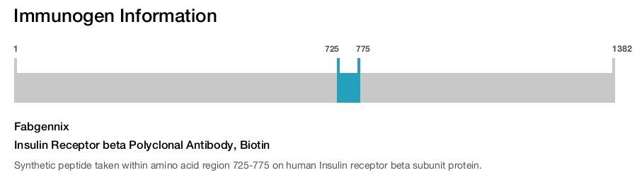 Insulin Receptor beta Polyclonal Antibody, Biotin