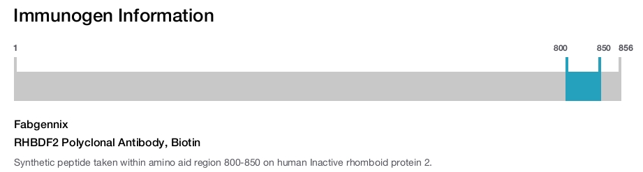 RHBDF2 Polyclonal Antibody, Biotin