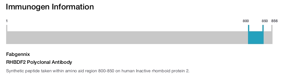RHBDF2 Polyclonal Antibody