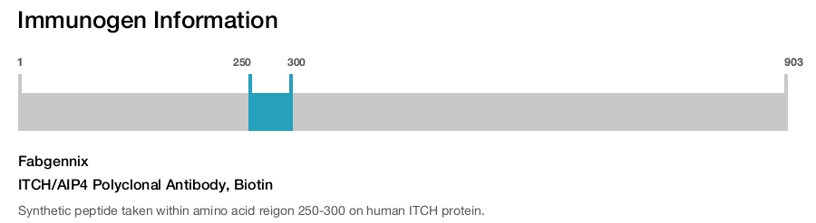 ITCH/AIP4 Polyclonal Antibody, Biotin