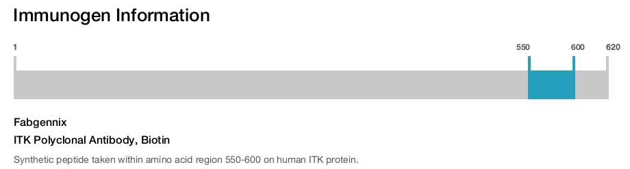 ITK Polyclonal Antibody, Biotin