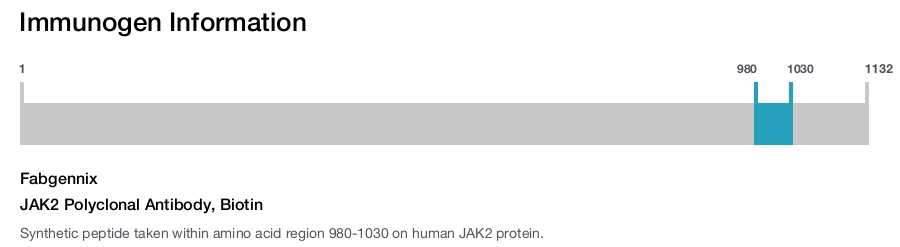 JAK2 Polyclonal Antibody, Biotin