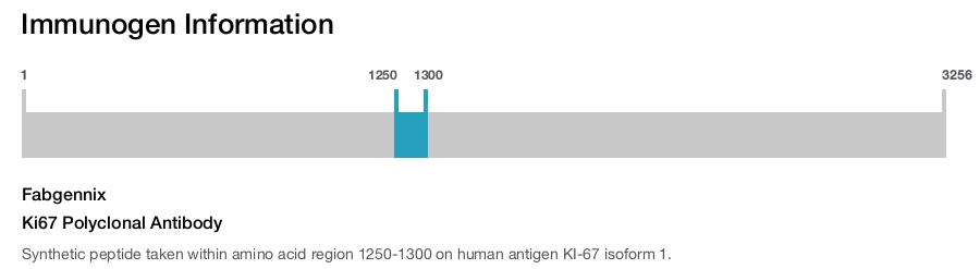 Ki67 Polyclonal Antibody
