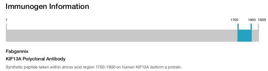 KIF13A Polyclonal Antibody