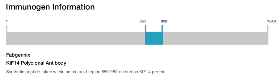 KIF14 Polyclonal Antibody