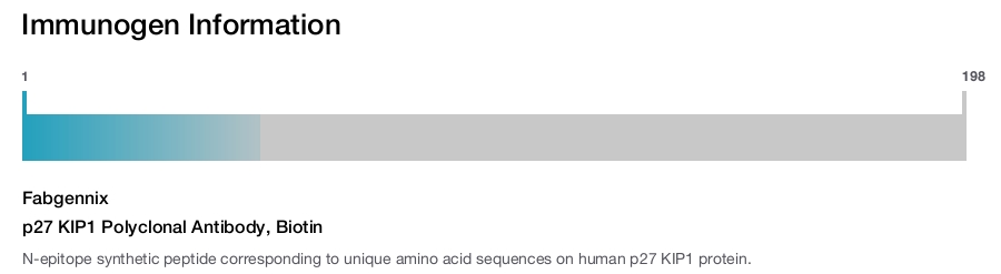 p27 KIP1 Polyclonal Antibody, Biotin