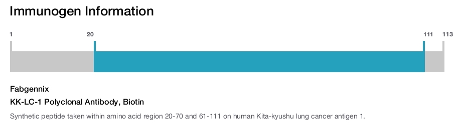KK-LC-1 Polyclonal Antibody, Biotin