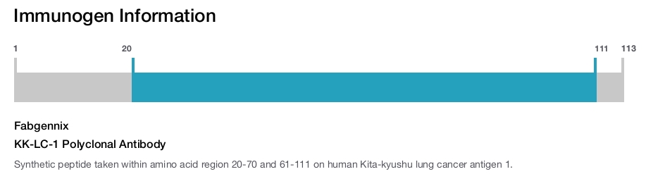 KK-LC-1 Polyclonal Antibody