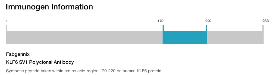 KLF6 SV1 Polyclonal Antibody