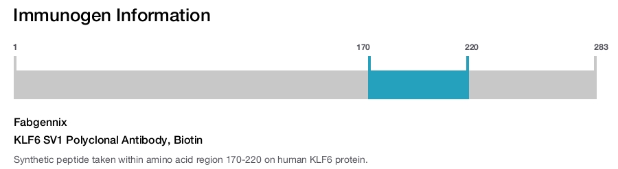 KLF6 SV1 Polyclonal Antibody, Biotin