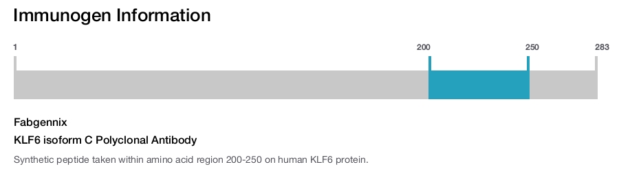 KLF6 isoform C Polyclonal Antibody