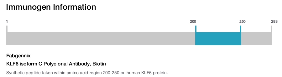 KLF6 isoform C Polyclonal Antibody, Biotin