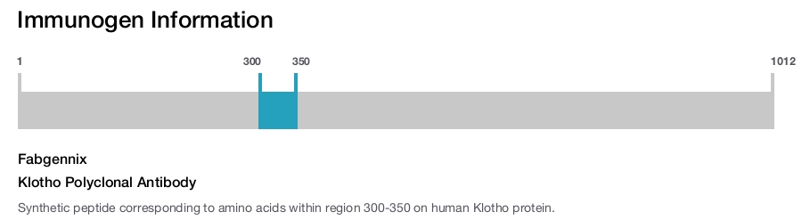 Klotho Polyclonal Antibody