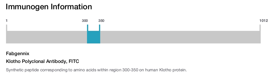 Klotho Polyclonal Antibody, FITC