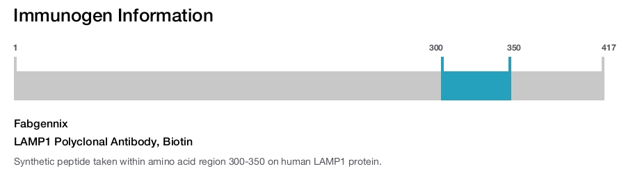 LAMP1 Polyclonal Antibody, Biotin