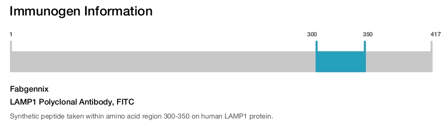 LAMP1 Polyclonal Antibody, FITC