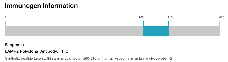 LAMP2 Polyclonal Antibody, FITC