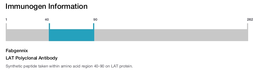 LAT Polyclonal Antibody