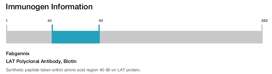 LAT Polyclonal Antibody, Biotin