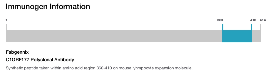 C1ORF177 Polyclonal Antibody