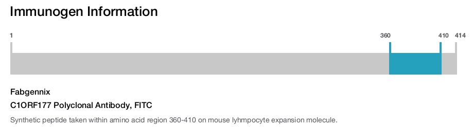 C1ORF177 Polyclonal Antibody, FITC