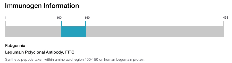 Legumain Polyclonal Antibody, FITC