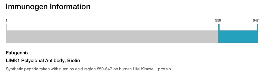 LIMK1 Polyclonal Antibody, Biotin