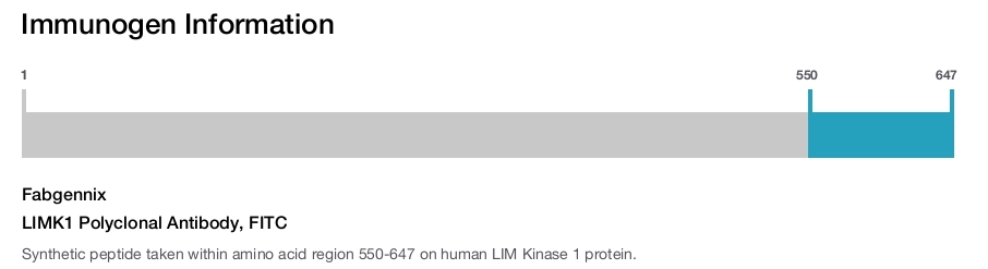LIMK1 Polyclonal Antibody, FITC