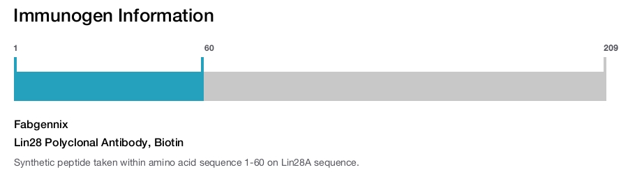 Lin28 Polyclonal Antibody, Biotin