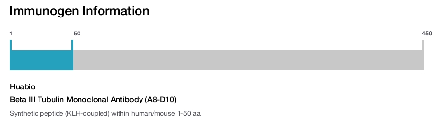 Beta III Tubulin Monoclonal Antibody (A8-D10)
