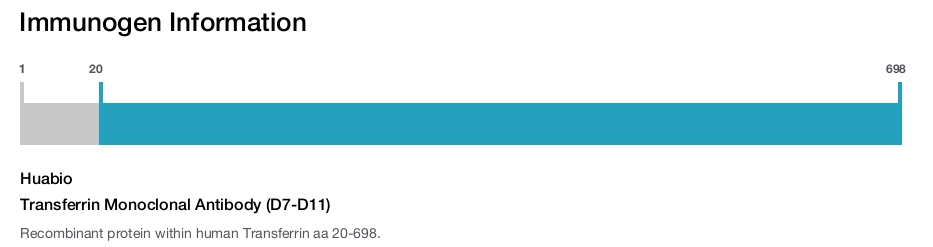 Transferrin Monoclonal Antibody (D7-D11)