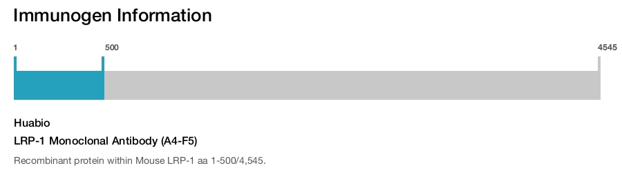 LRP-1 Monoclonal Antibody (A4-F5)