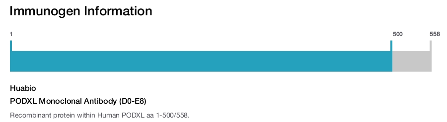 PODXL Monoclonal Antibody (D0-E8)