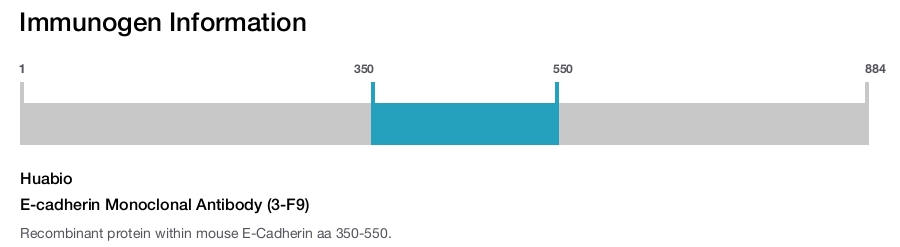 E-cadherin Monoclonal Antibody (3-F9)