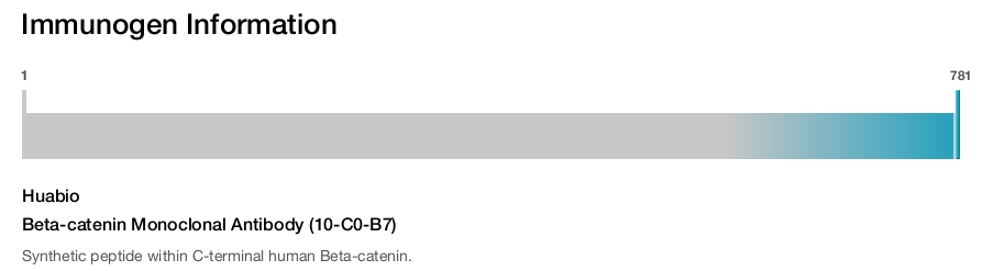 Beta-catenin Monoclonal Antibody (10-C0-B7)