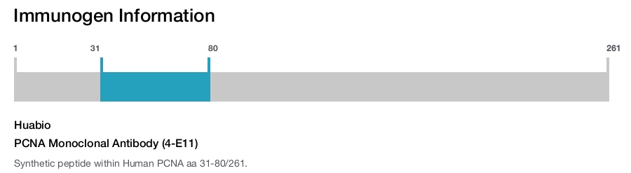 PCNA Monoclonal Antibody (4-E11)