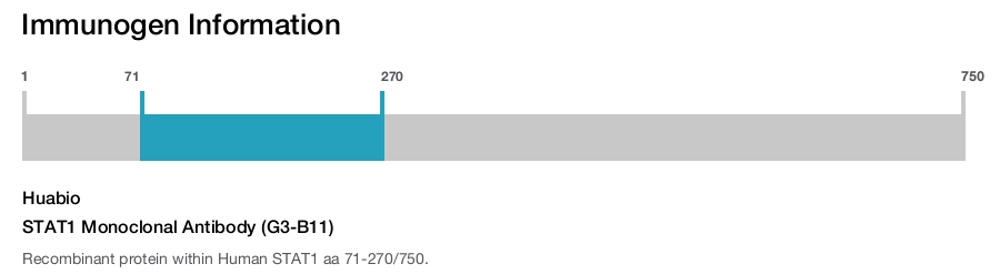 STAT1 Monoclonal Antibody (G3-B11)