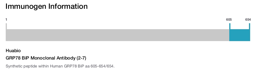 GRP78 BiP Monoclonal Antibody (2-7)