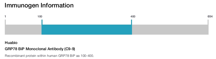 GRP78 BiP Monoclonal Antibody (C9-9)