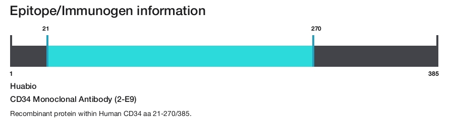 CD34 Monoclonal Antibody (2-E9)